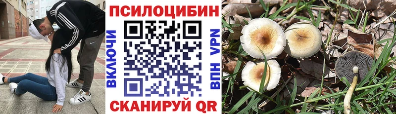 Галлюциногенные грибы GOLDEN TEACHER  купить наркоту  Мещовск 